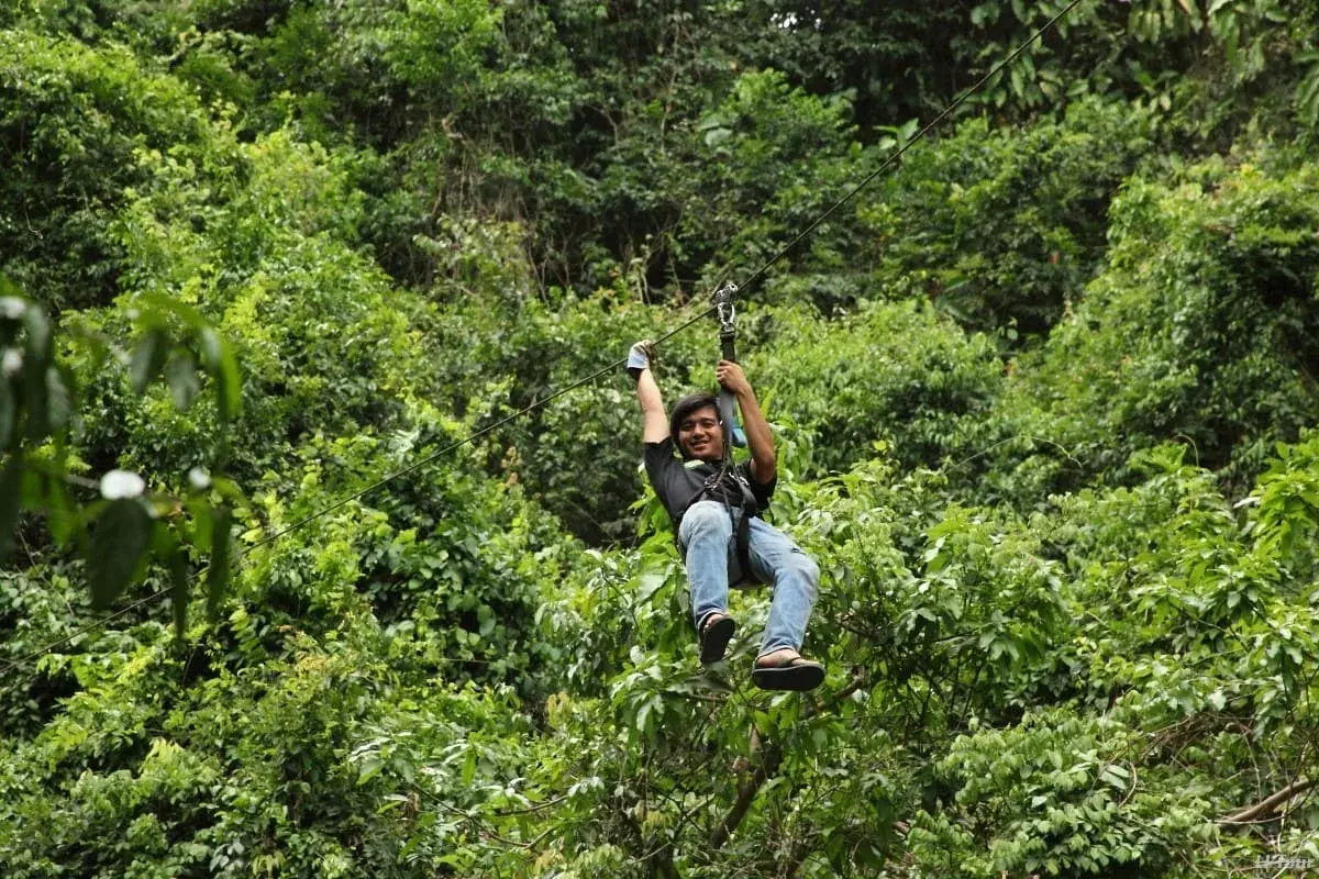 Canopy adventure
