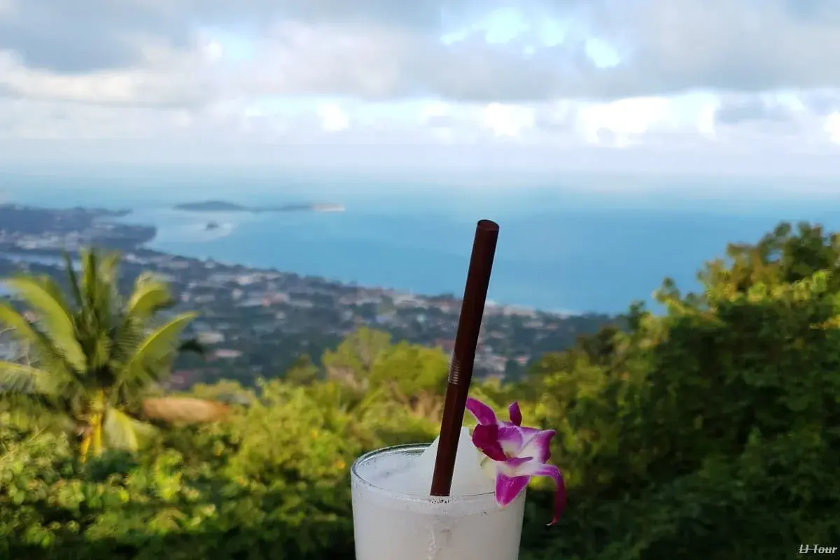 Samui Island Tour (City Tour) - Image 1