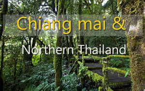Chiang mai doi intranon